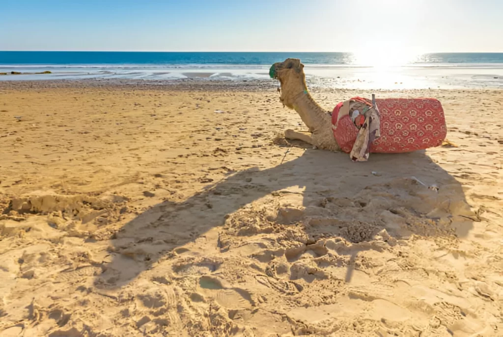 Melhores praias do Marrocos